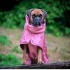 image:imageSpark Paws Dog Raincoat  Waterproof Rain Jacket wHood Full CoverageSea Pink