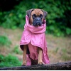 image:imageSpark Paws Dog Raincoat  Waterproof Rain Jacket wHood Full CoverageSea Pink