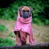 image:imageSpark Paws Dog Raincoat  Waterproof Rain Jacket wHood Full CoverageSea Pink