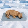 image:imageSpark Paws FrostCore Dog Cooling Mat  Non Gel Self Cooling Pet PadAsh Blue