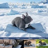 image:imageSpark Paws FrostCore Dog Cooling Mat  Non Gel Self Cooling Pet PadAsh Blue