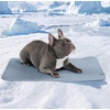 image:imageSpark Paws FrostCore Dog Cooling Mat  Non Gel Self Cooling Pet PadAsh Blue