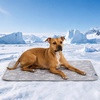 image:imageSpark Paws FrostCore Dog Cooling Mat  Non Gel Self Cooling Pet PadCloud Grey
