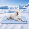 image:imageSpark Paws FrostCore Dog Cooling Mat  Non Gel Self Cooling Pet PadHearts Blue