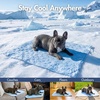 image:imageSpark Paws FrostCore Dog Cooling Mat  Non Gel Self Cooling Pet PadHearts Blue