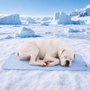 image:imageSpark Paws FrostCore Dog Cooling Mat  Non Gel Self Cooling Pet PadWaffle Blue
