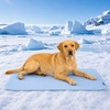 image:imageSpark Paws FrostCore Dog Cooling Mat  Non Gel Self Cooling Pet PadWaffle Blue