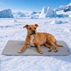 image:imageSpark Paws FrostCore Dog Cooling Mat  Non Gel Self Cooling Pet PadWaffle Grey