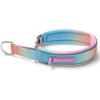 image:imageSpark Paws Martingale Dog Collar  Cushioned SlipOn Training Collar01 Pastel Icing