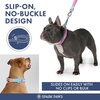 image:imageSpark Paws Martingale Dog Collar  Cushioned SlipOn Training Collar01 Pastel Icing