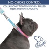 image:imageSpark Paws Martingale Dog Collar  Cushioned SlipOn Training Collar01 Pastel Icing