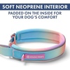 image:imageSpark Paws Martingale Dog Collar  Cushioned SlipOn Training Collar01 Pastel Icing