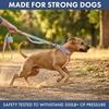 image:imageSpark Paws Martingale Dog Collar  Cushioned SlipOn Training Collar01 Pastel Icing