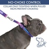 image:imageSpark Paws Martingale Dog Collar  Cushioned SlipOn Training Collar02 90s Retro