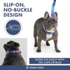 image:imageSpark Paws Martingale Dog Collar  Cushioned SlipOn Training Collar02 90s Retro