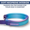 image:imageSpark Paws Martingale Dog Collar  Cushioned SlipOn Training Collar02 90s Retro