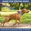 image:imageSpark Paws Martingale Dog Collar  Cushioned SlipOn Training Collar02 90s Retro
