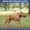 image:imageSpark Paws Martingale Dog Collar  Cushioned SlipOn Training Collar03 Fuchsia Camo