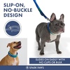 image:imageSpark Paws Martingale Dog Collar  Cushioned SlipOn Training Collar04 Lime Wave