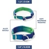 image:imageSpark Paws Martingale Dog Collar  Cushioned SlipOn Training Collar04 Lime Wave