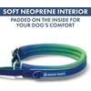 image:imageSpark Paws Martingale Dog Collar  Cushioned SlipOn Training Collar04 Lime Wave