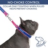 image:imageSpark Paws Martingale Dog Collar  Cushioned SlipOn Training Collar05 Snow Cone