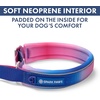 image:imageSpark Paws Martingale Dog Collar  Cushioned SlipOn Training Collar05 Snow Cone