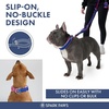 image:imageSpark Paws Martingale Dog Collar  Cushioned SlipOn Training Collar05 Snow Cone