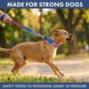 image:imageSpark Paws Martingale Dog Collar  Cushioned SlipOn Training Collar05 Snow Cone