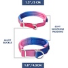 image:imageSpark Paws Martingale Dog Collar  Cushioned SlipOn Training Collar05 Snow Cone