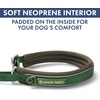 image:imageSpark Paws Martingale Dog Collar  Cushioned SlipOn Training Collar06 Army Green