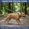 image:imageSpark Paws Martingale Dog Collar  Cushioned SlipOn Training Collar06 Army Green