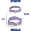 image:imageSpark Paws Martingale Dog Collar  Cushioned SlipOn Training Collar07 Lilac