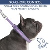 image:imageSpark Paws Martingale Dog Collar  Cushioned SlipOn Training Collar07 Lilac