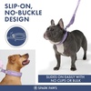 image:imageSpark Paws Martingale Dog Collar  Cushioned SlipOn Training Collar07 Lilac