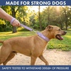 image:imageSpark Paws Martingale Dog Collar  Cushioned SlipOn Training Collar07 Lilac