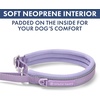 image:imageSpark Paws Martingale Dog Collar  Cushioned SlipOn Training Collar07 Lilac