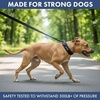 image:imageSpark Paws Martingale Dog Collar  Cushioned SlipOn Training Collar08 Black