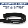 image:imageSpark Paws Martingale Dog Collar  Cushioned SlipOn Training Collar08 Black