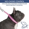 image:imageSpark Paws Martingale Dog Collar  Cushioned SlipOn Training Collar09 Pink