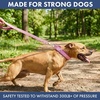 image:imageSpark Paws Martingale Dog Collar  Cushioned SlipOn Training Collar09 Pink