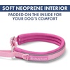 image:imageSpark Paws Martingale Dog Collar  Cushioned SlipOn Training Collar09 Pink