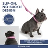 image:imageSpark Paws Martingale Dog Collar  Cushioned SlipOn Training Collar09 Pink