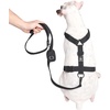image:imageSpark Paws Premium Dog Leash amp Poop Bag Set  90s RetroBlack