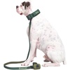 image:imageSpark Paws Premium Dog Leash amp Poop Bag Set  90s RetroGreen
