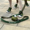image:imageSpark Paws Premium Dog Leash amp Poop Bag Set  90s RetroGreen