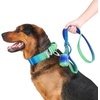 image:imageSpark Paws Premium Dog Leash amp Poop Bag Set  90s RetroLime Wave