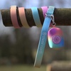 image:imageSpark Paws Premium Dog Leash amp Poop Bag Set  90s RetroPastel Icing
