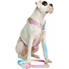 image:imageSpark Paws Premium Dog Leash amp Poop Bag Set  90s RetroPastel Icing
