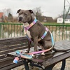 image:imageSpark Paws Premium Dog Leash amp Poop Bag Set  90s RetroPastel Icing